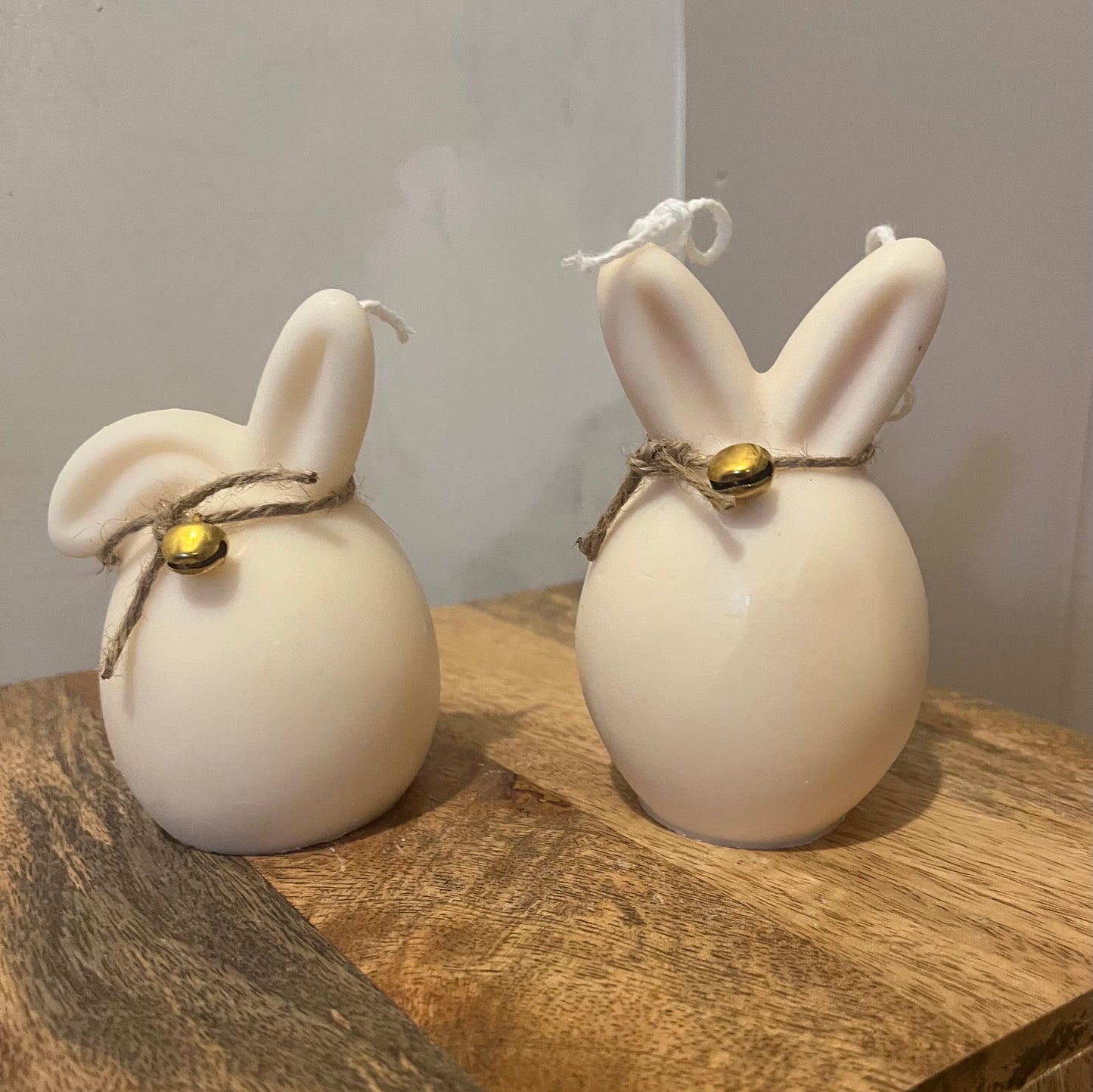 Set of 2 Bunnies